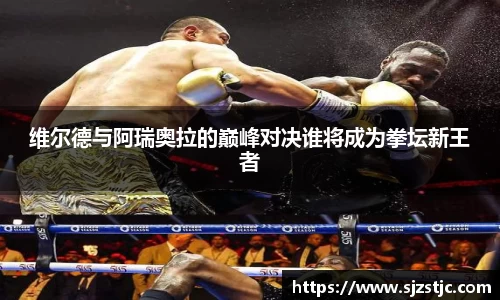维尔德与阿瑞奥拉的巅峰对决谁将成为拳坛新王者
